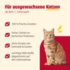 animonda Carny Cat Wet Food Multi-Meat Cocktail (6 x 200g) view 3